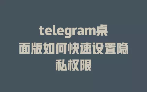 telegram桌面版如何快速设置隐私权限 一
