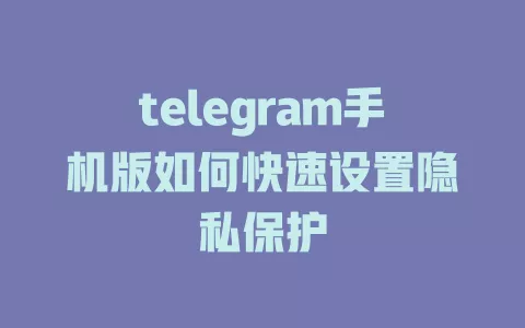 telegram手机版如何快速设置隐私保护 一