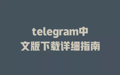 telegram中文版下载详细指南 一