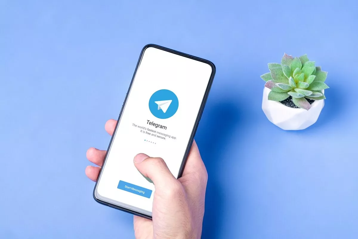 telegram web下载教程分享 三